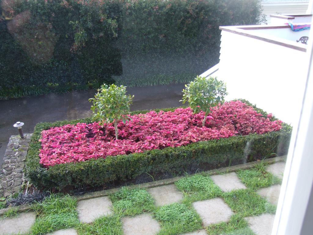 安静角落住宿加早餐旅馆 奥克兰 客房 照片